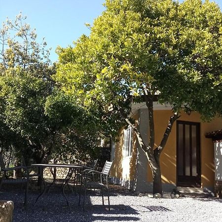 Agriturismo Ardissone Thomas Borganzo Exterior foto