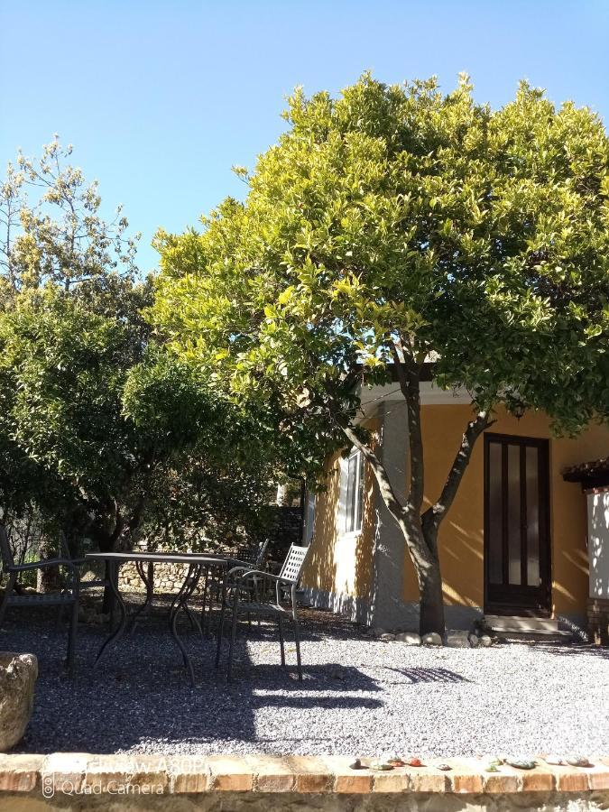 Agriturismo Ardissone Thomas Borganzo Exterior foto