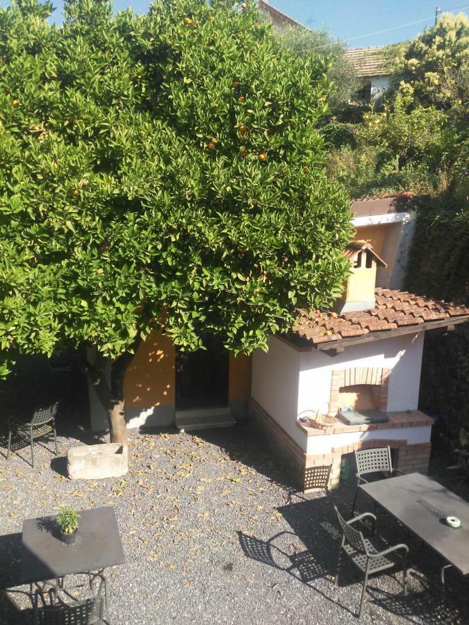 Agriturismo Ardissone Thomas Borganzo Exterior foto